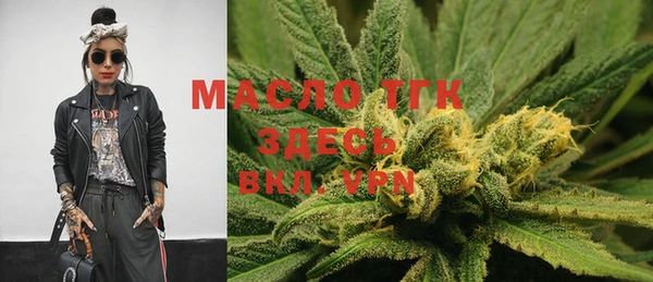 индика Ветлуга