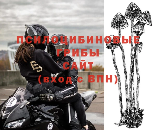 МДМА Няндома