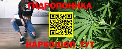 jwh Гусь-Хрустальный