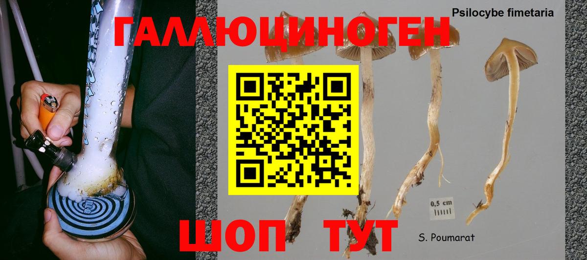 Кропоткин  Псилоцибиновые грибы GOLDEN TEACHER  Вход с VPN 