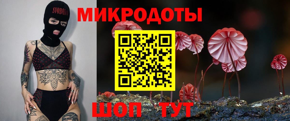 Галлюциногенные грибы GOLDEN TEACHER  Кропоткин  Псилоцибиновые грибы Psilocybine cubensis 